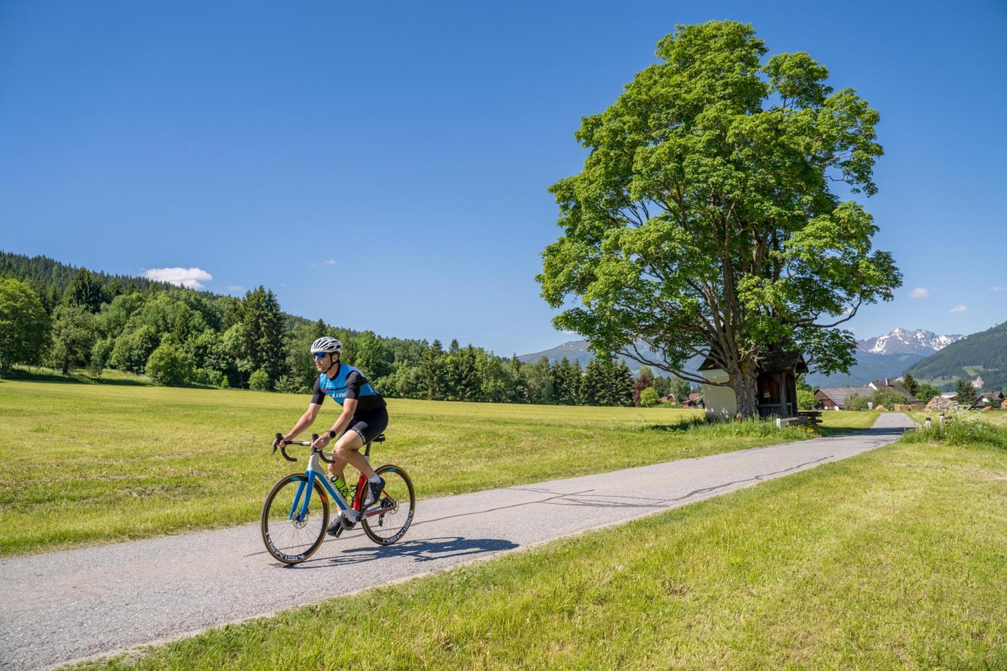 Ferienwohnung Davidhof Unternberg Kültér fotó